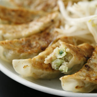 特選はままつ餃子 45個