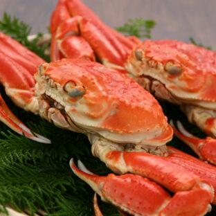 ずわい蟹　500gUP×２杯