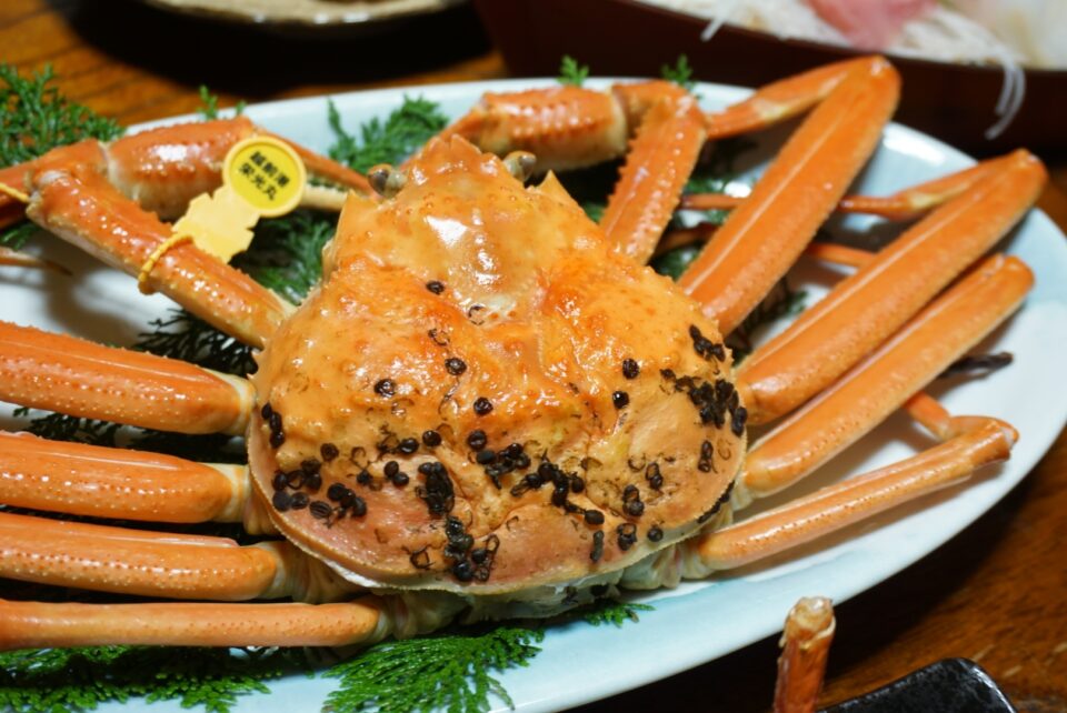 黄色のタグがついたカニ