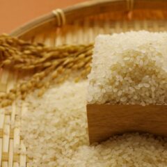 お米の正しい保存方法は？ごはんを美味しく食べるための生活の知恵