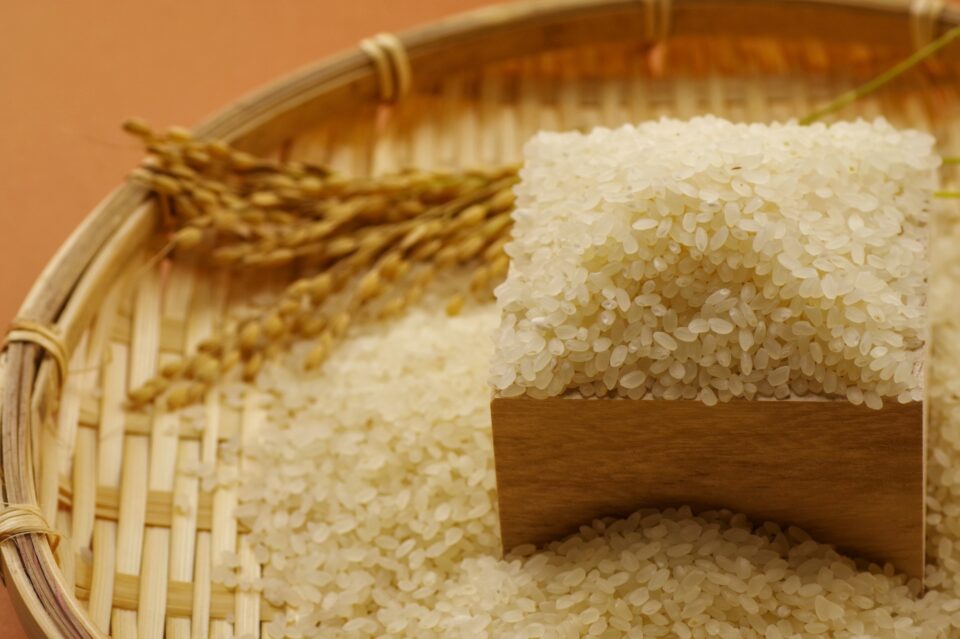 米の保存方法
