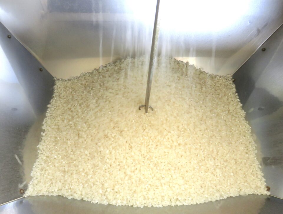 精米している米