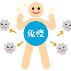 免疫力をアップさせる食材＆エクササイズ