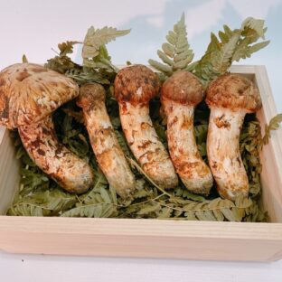 【10月中旬まで】岩手県産松茸200ｇ　国産　