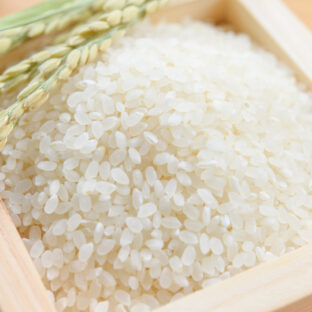 糖質を悪者にしない　糖質の重要性と必要量について解説